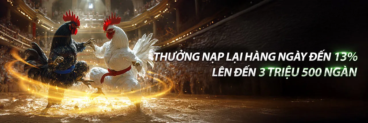 Đá gà bty523 chính thức 2026 với ưu đãi hấp dẫn